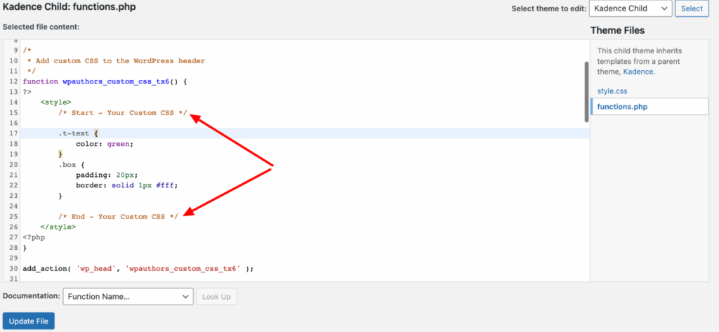 Add custom css to header